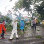 bpbd_pematangsiantar_catat_61_kejadian_bencana_semester_i_2026_pohon_tumbang_dominan_2026-06-12_10-48-26_2351