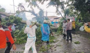 bpbd_pematangsiantar_catat_61_kejadian_bencana_semester_i_2026_pohon_tumbang_dominan_2026-06-12_10-48-26_2351