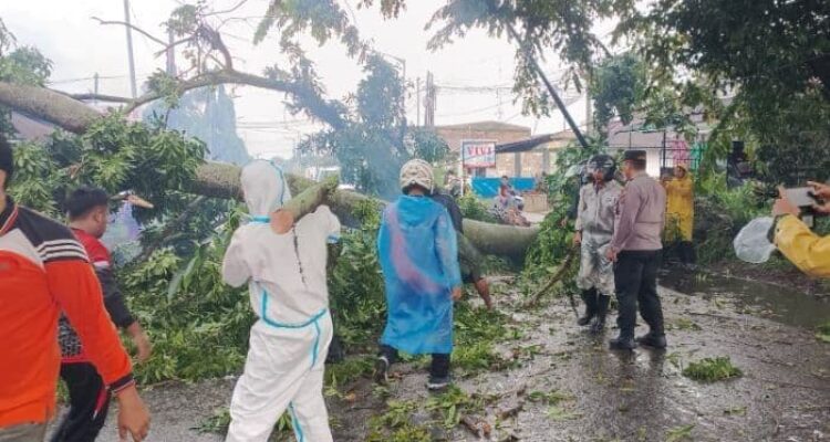 bpbd_pematangsiantar_catat_61_kejadian_bencana_semester_i_2026_pohon_tumbang_dominan_2026-06-12_10-48-26_2351