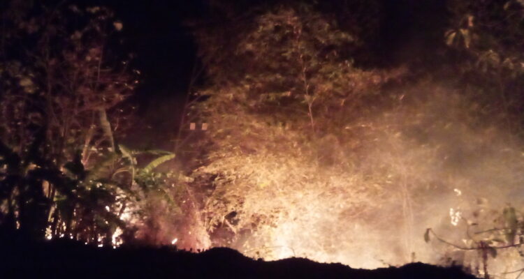 IMG-20261006-WA0059